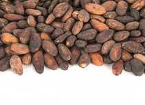 Какао-бобы ферментированные Венесуэла Каранеро